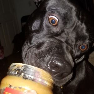 Meet your Posher, Ella